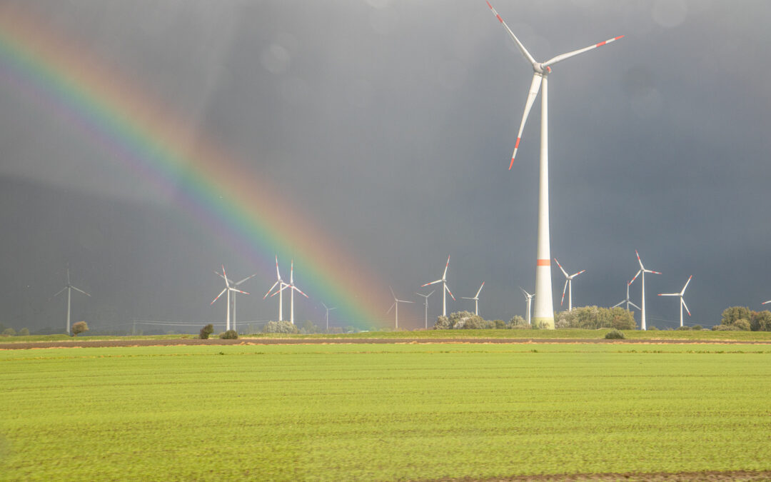 Stellplatz Hanerau-Hademarschen