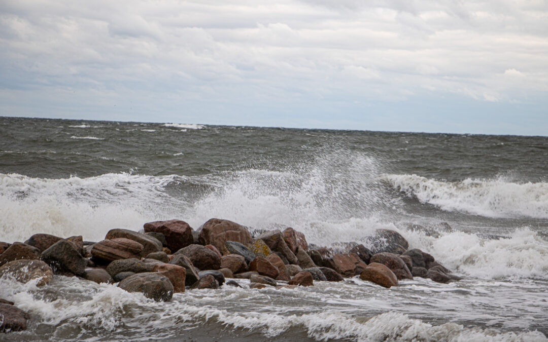 Stellplatz Hohewacht